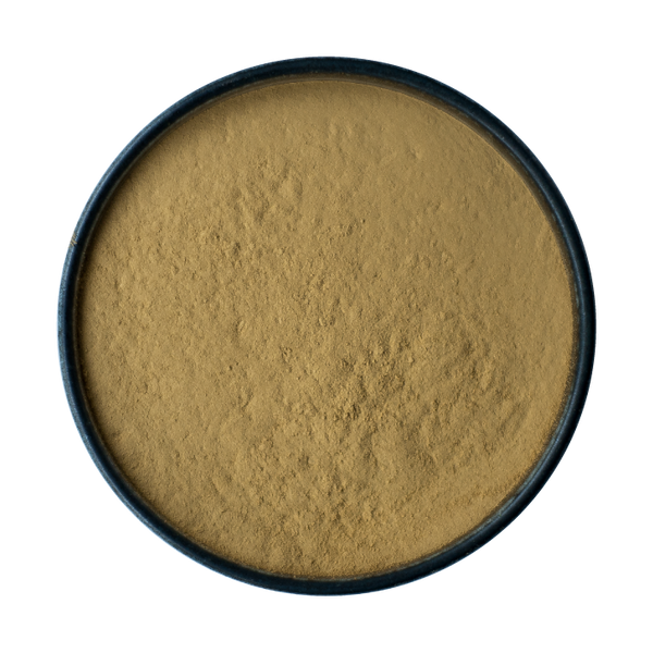 Hojicha (Houjicha) Powder 1kg Bag Wholesale Melbourne, Australia